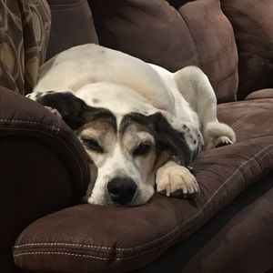 Meet your Posher, Jayne